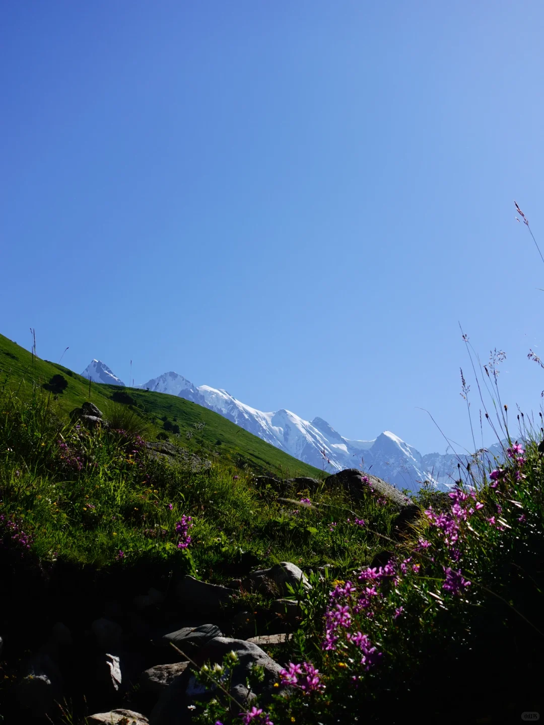 梅斯蒂亚|一个女生格鲁吉亚4300元20天旅行