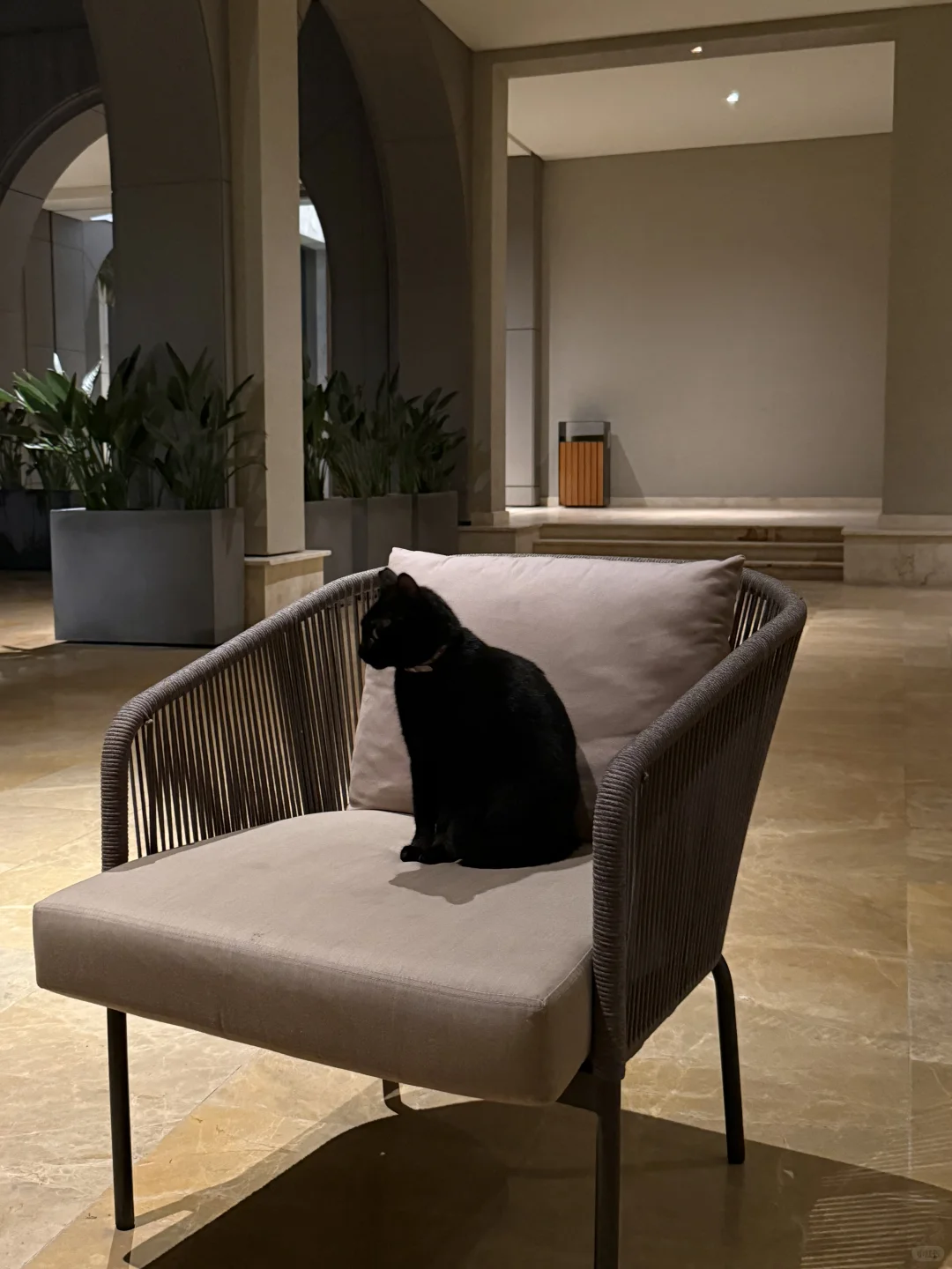 🇲🇪好喜欢黑山的