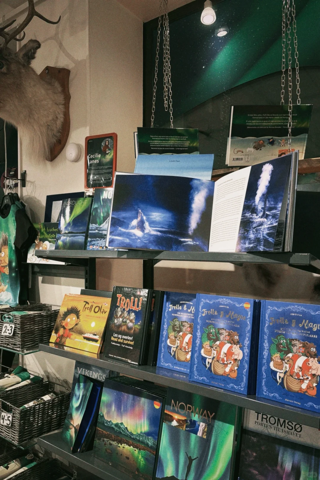 🇳🇴Dawn in Norway