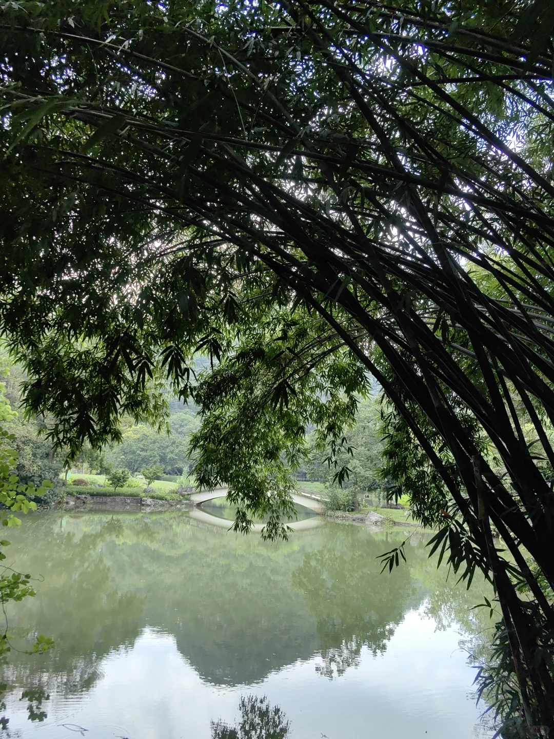 来柳州必去——龙潭公园🌲🌲