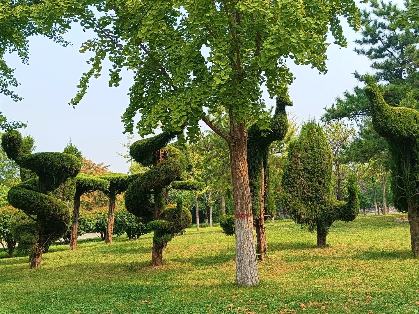 邯郸赵苑公园，赵武灵王胡服骑射处