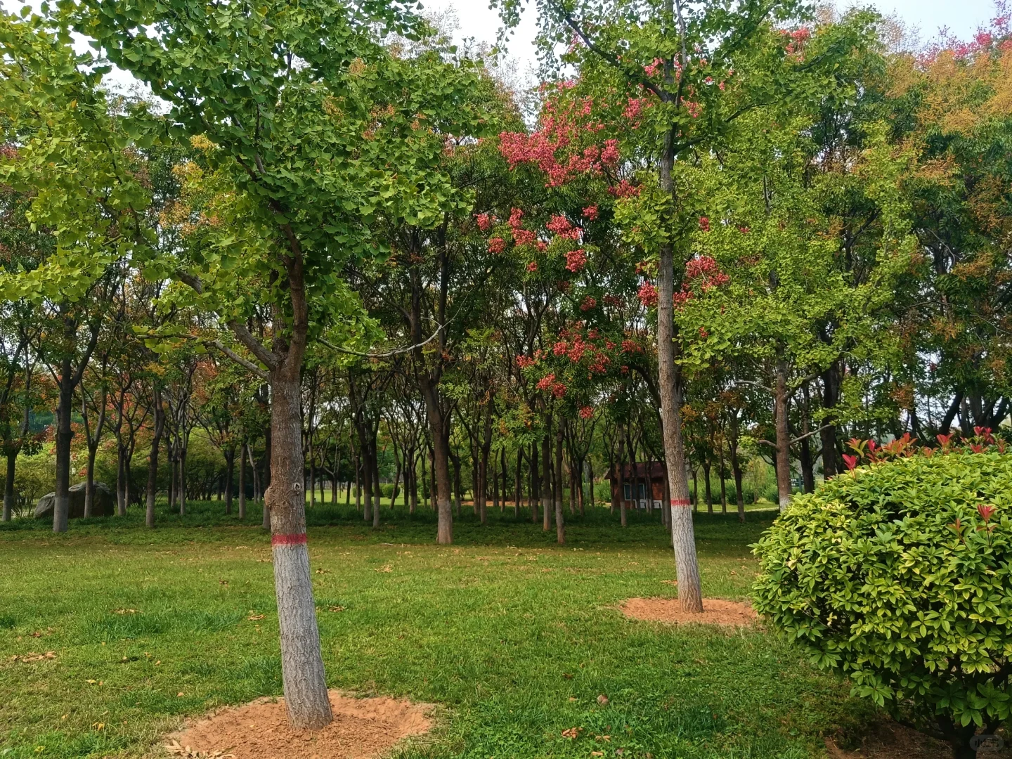 邯郸赵苑公园，赵武灵王胡服骑射处