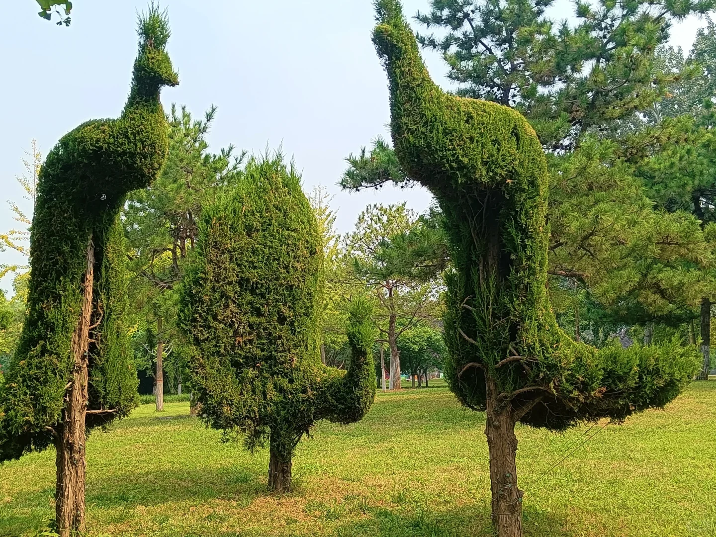 邯郸赵苑公园，赵武灵王胡服骑射处