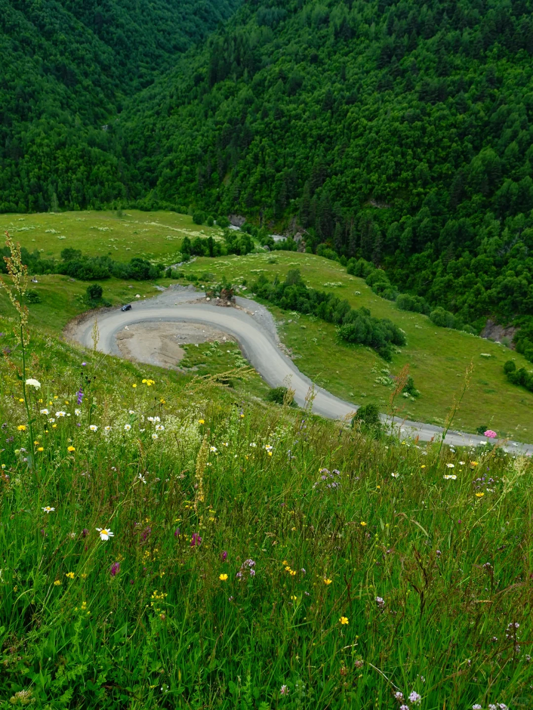 梅斯蒂亚|一个女生格鲁吉亚4300元20天旅行