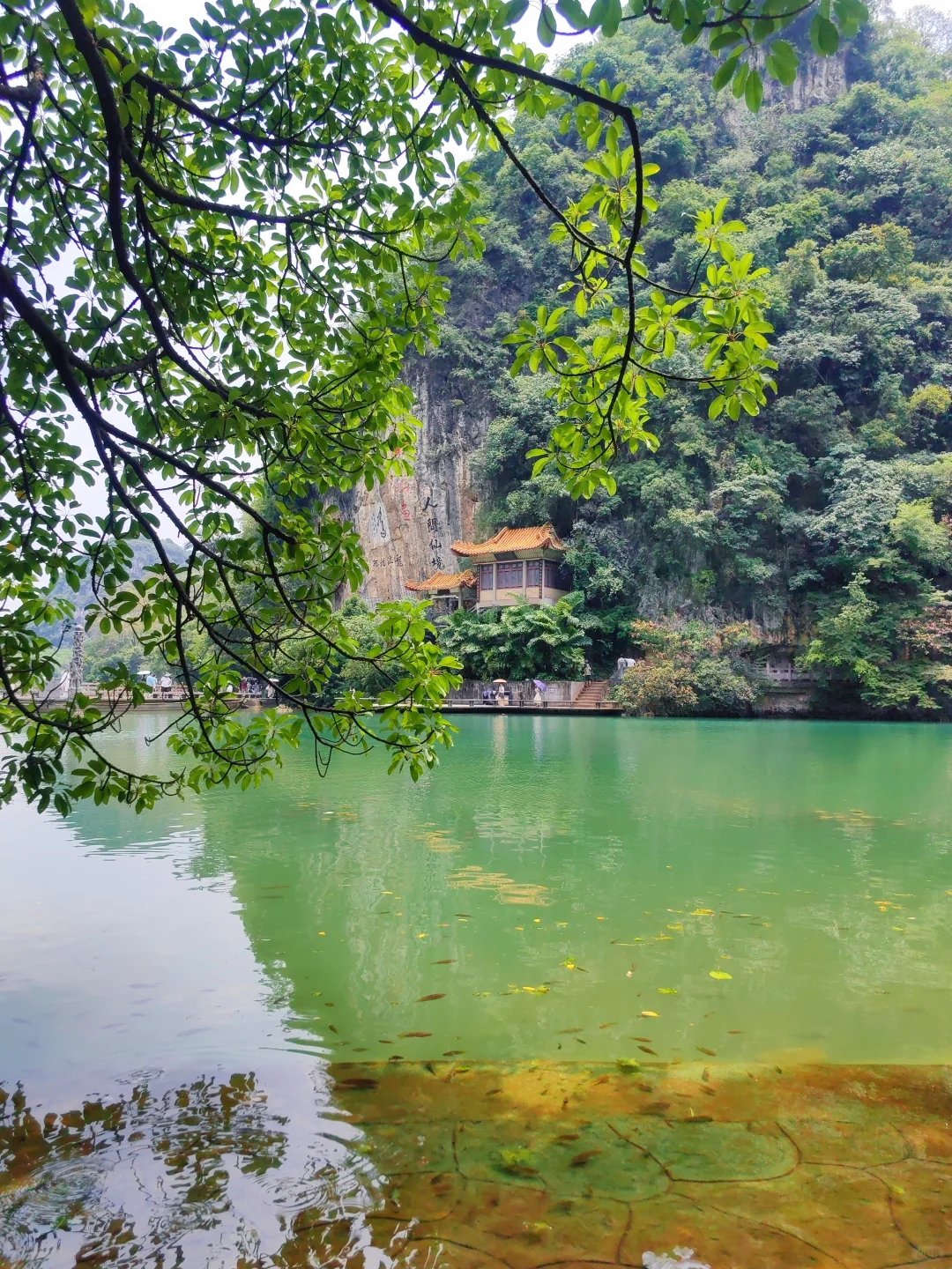 来柳州必去——龙潭公园🌲🌲