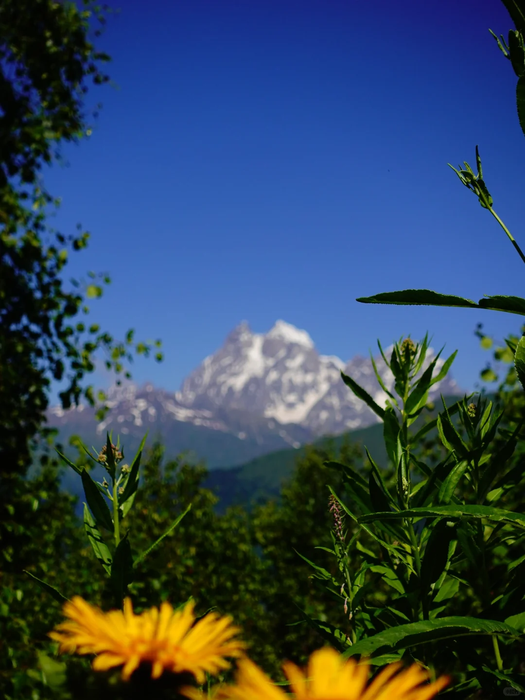 梅斯蒂亚|一个女生格鲁吉亚4300元20天旅行