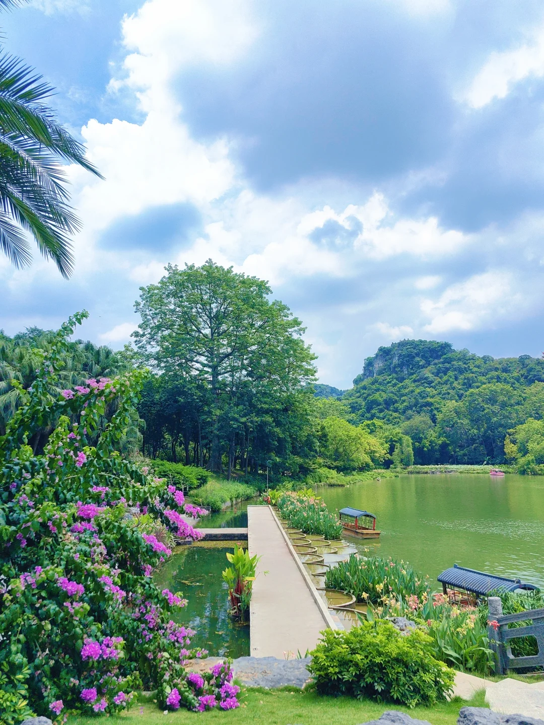 来柳州必去——龙潭公园🌲🌲