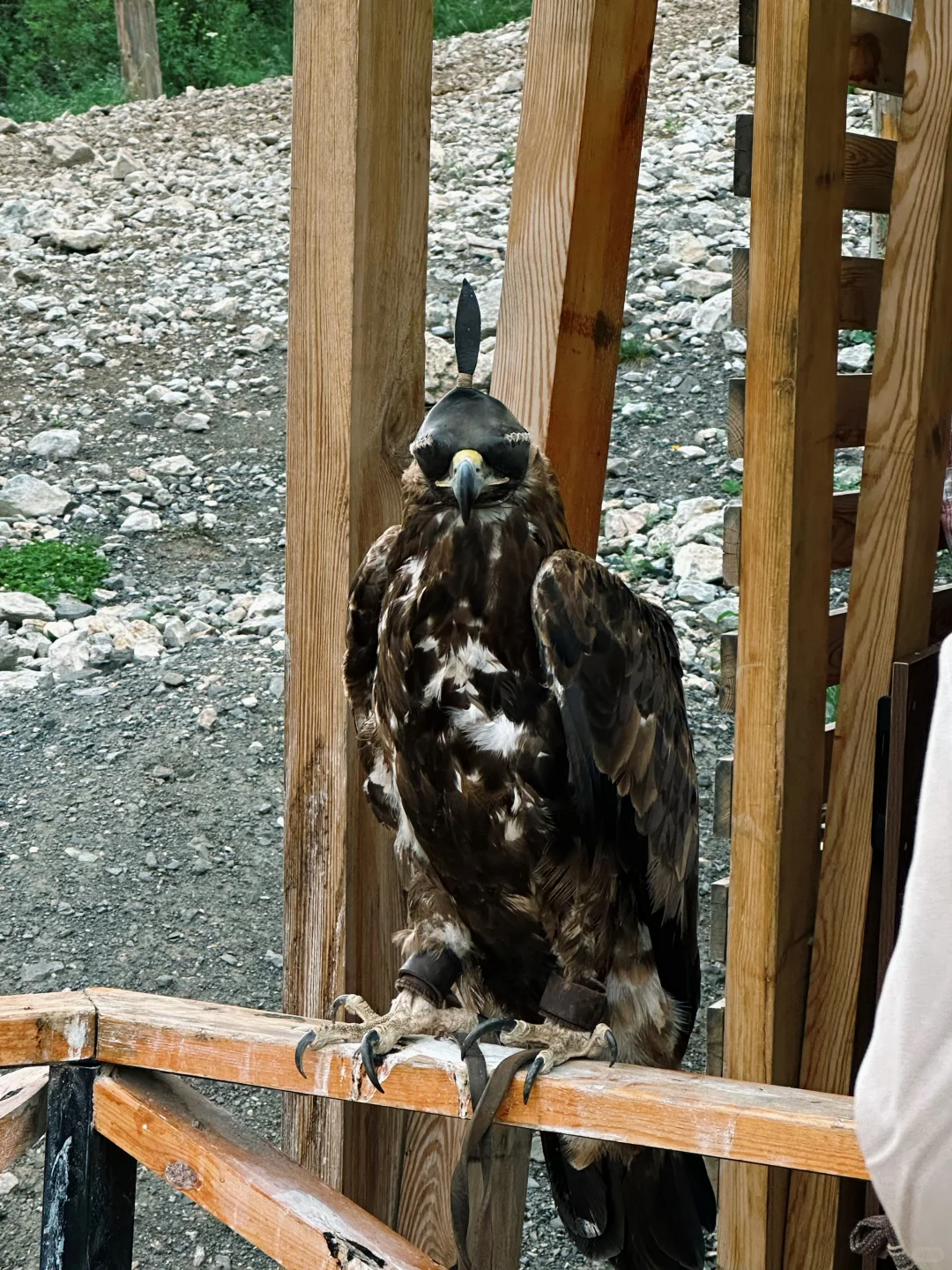 欧亚非大环线① - 阿拉木图