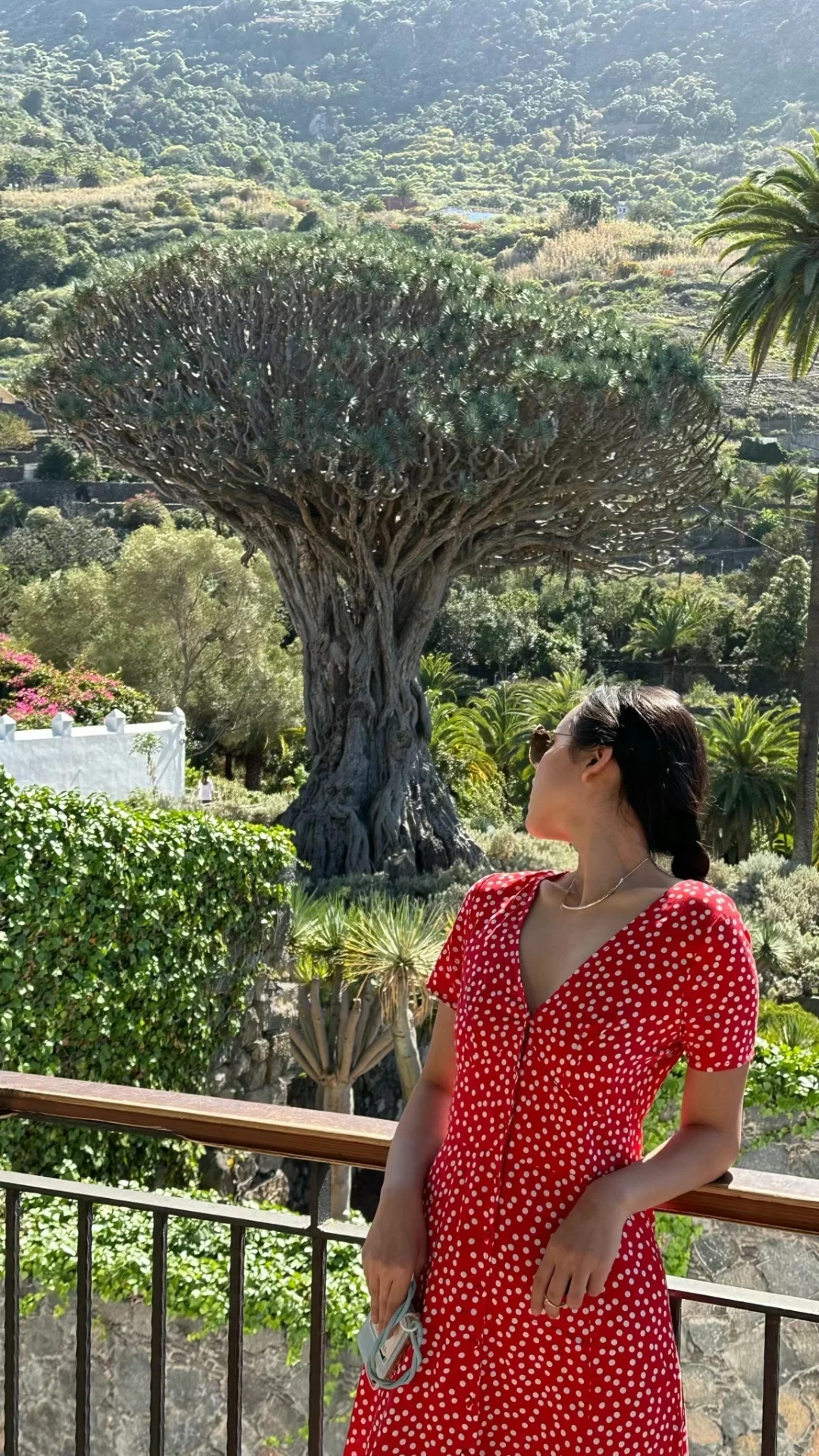 旅游攻略｜提前做三月特内里费旅游计划！