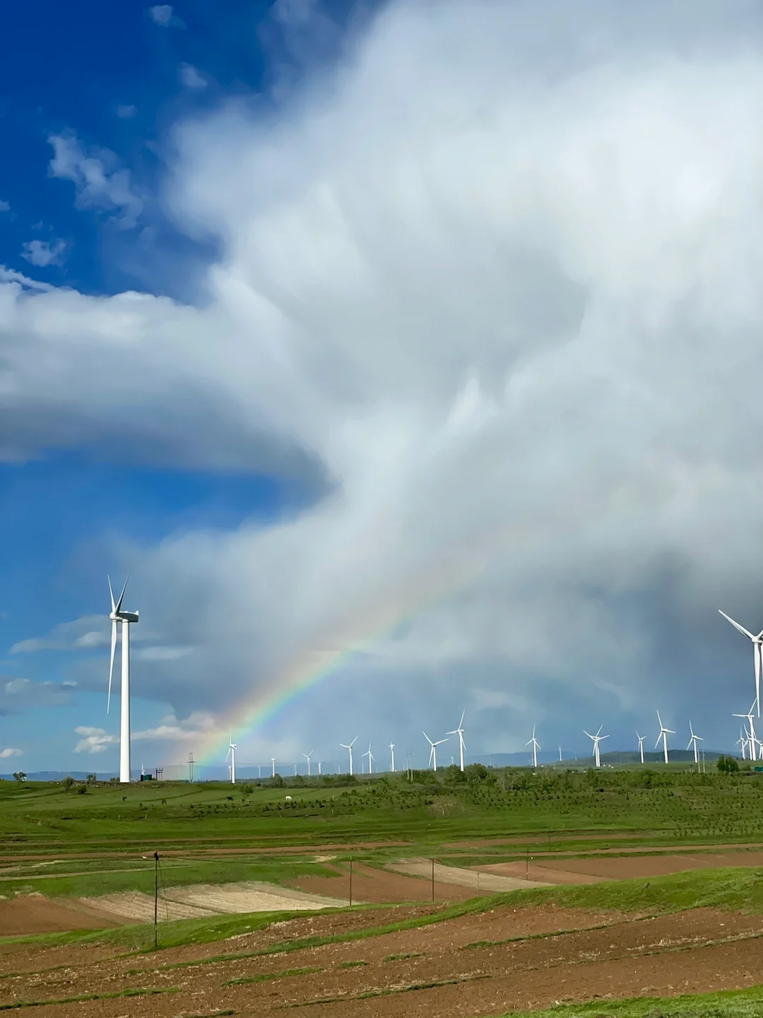 张北草原天路没白跑一趟