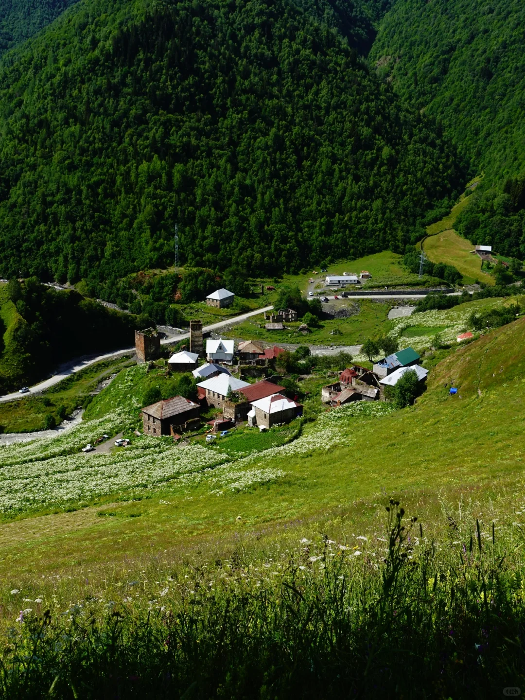 梅斯蒂亚|一个女生格鲁吉亚4300元20天旅行