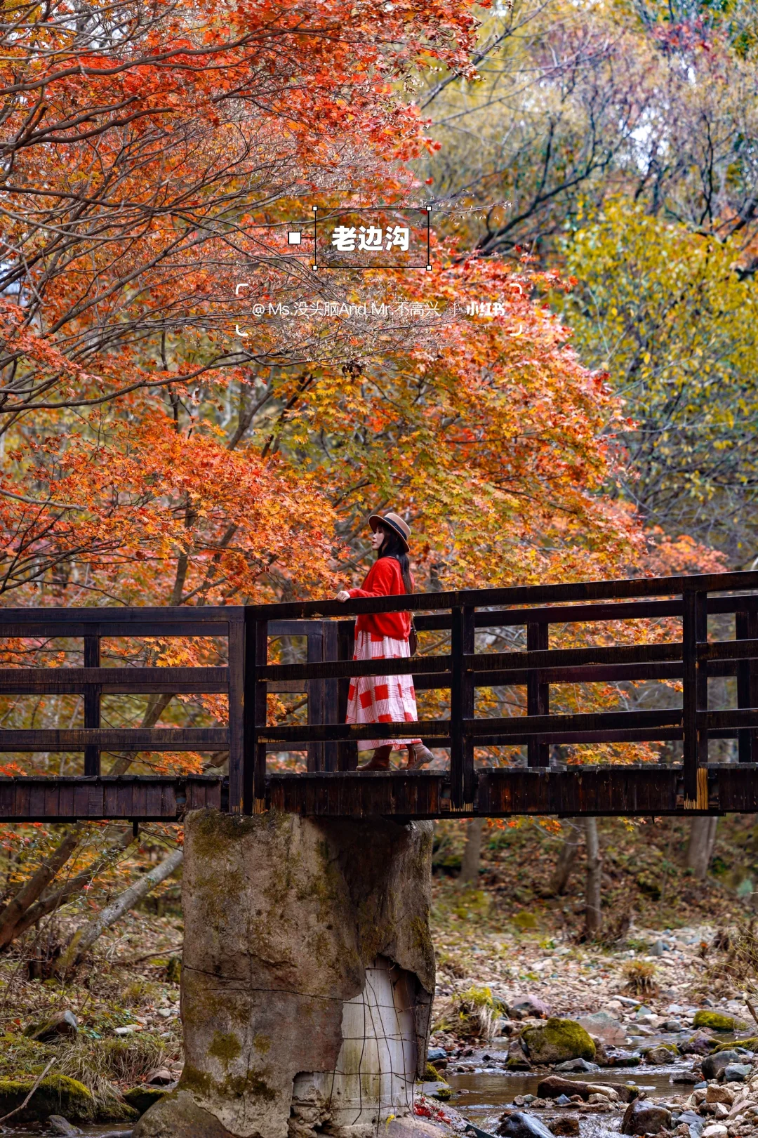 长春➩沈阳 | 国庆东北赏秋自驾路线推荐🚗