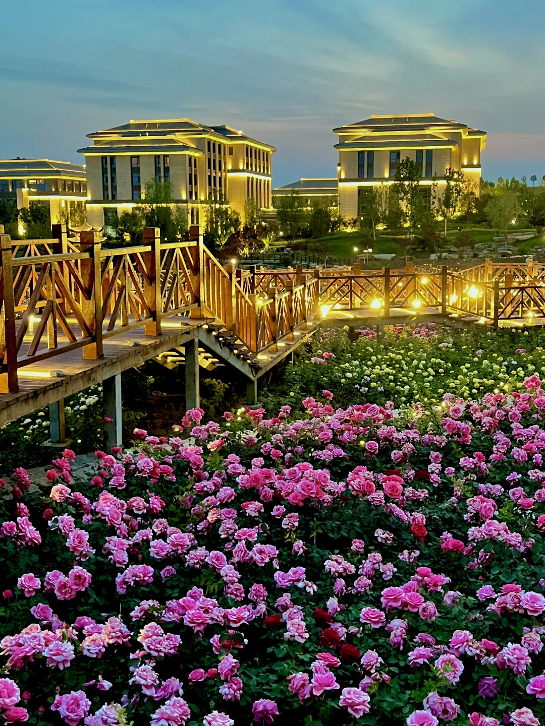 不是意大利是晋城！！都给我去啊啊啊啊！！！！