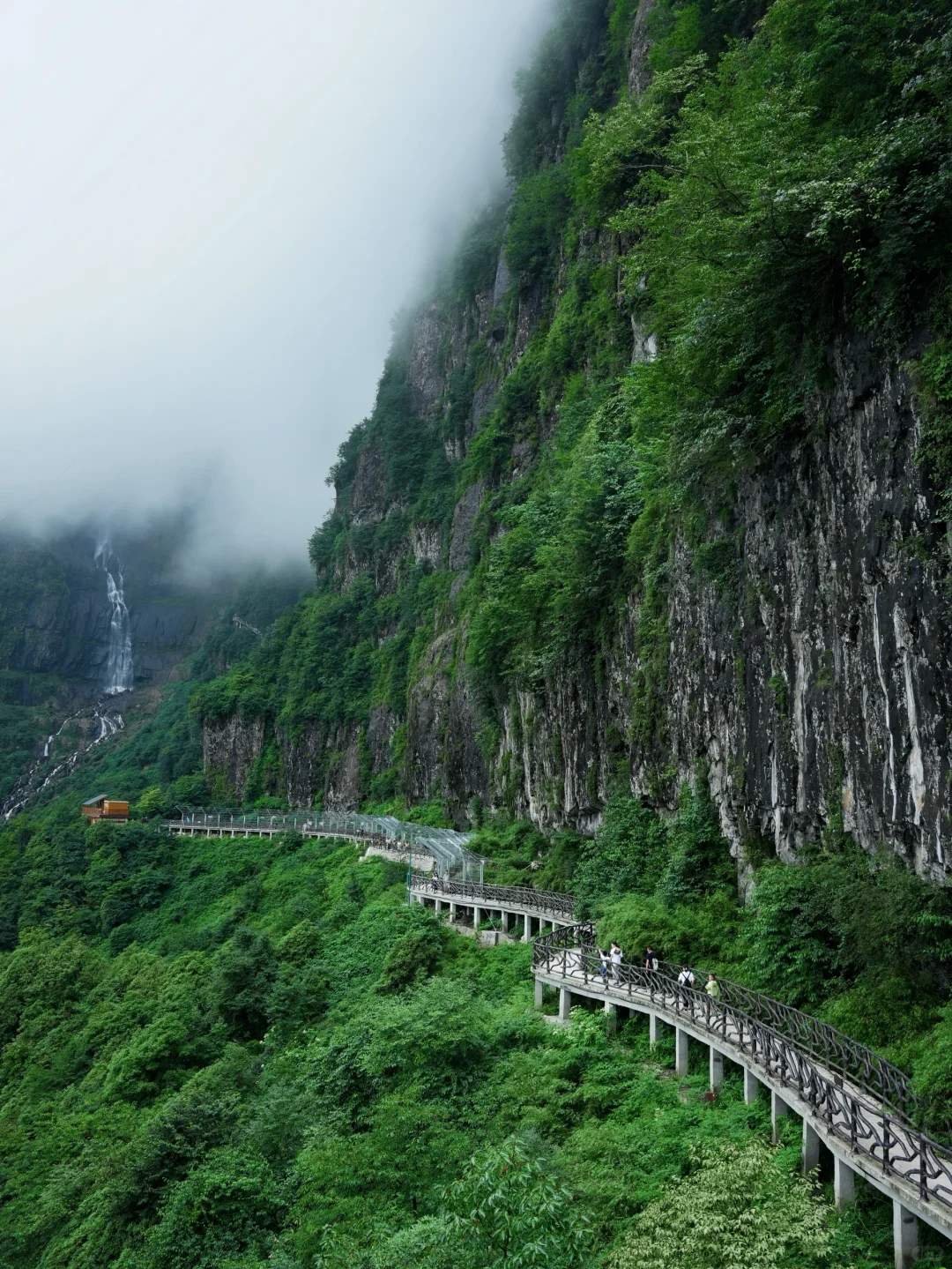 成都出发｜挑战每周出去玩（20/100）📍瓦屋山