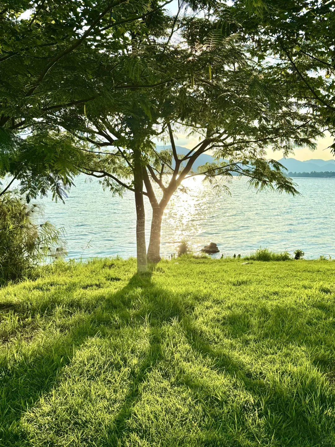 昆明最美的地方都是免费的（📍合集附地址）