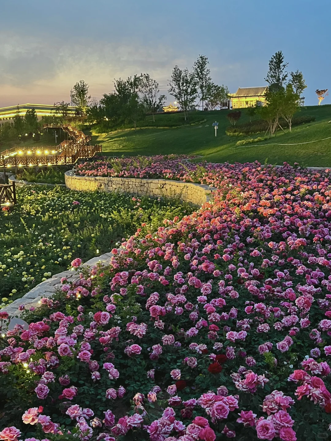 不是意大利是晋城！！都给我去啊啊啊啊！！！！