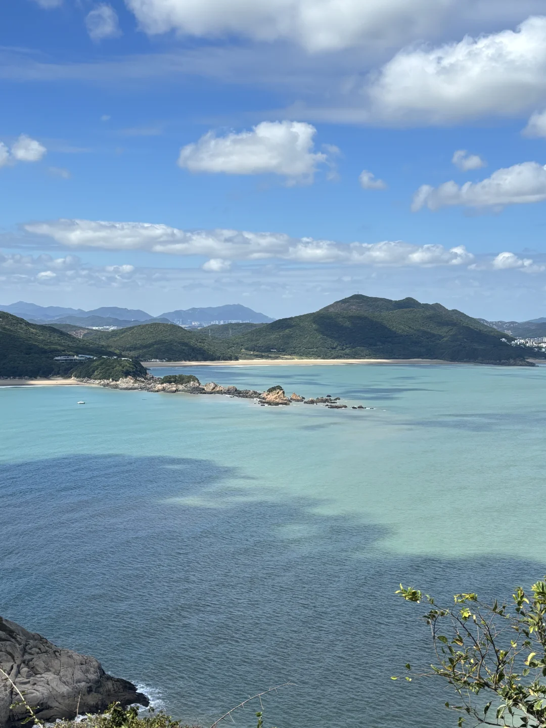 济州岛代餐
