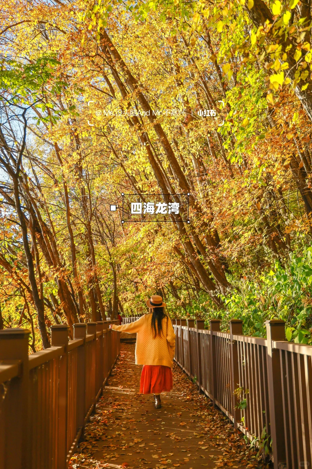 长春➩沈阳 | 国庆东北赏秋自驾路线推荐🚗