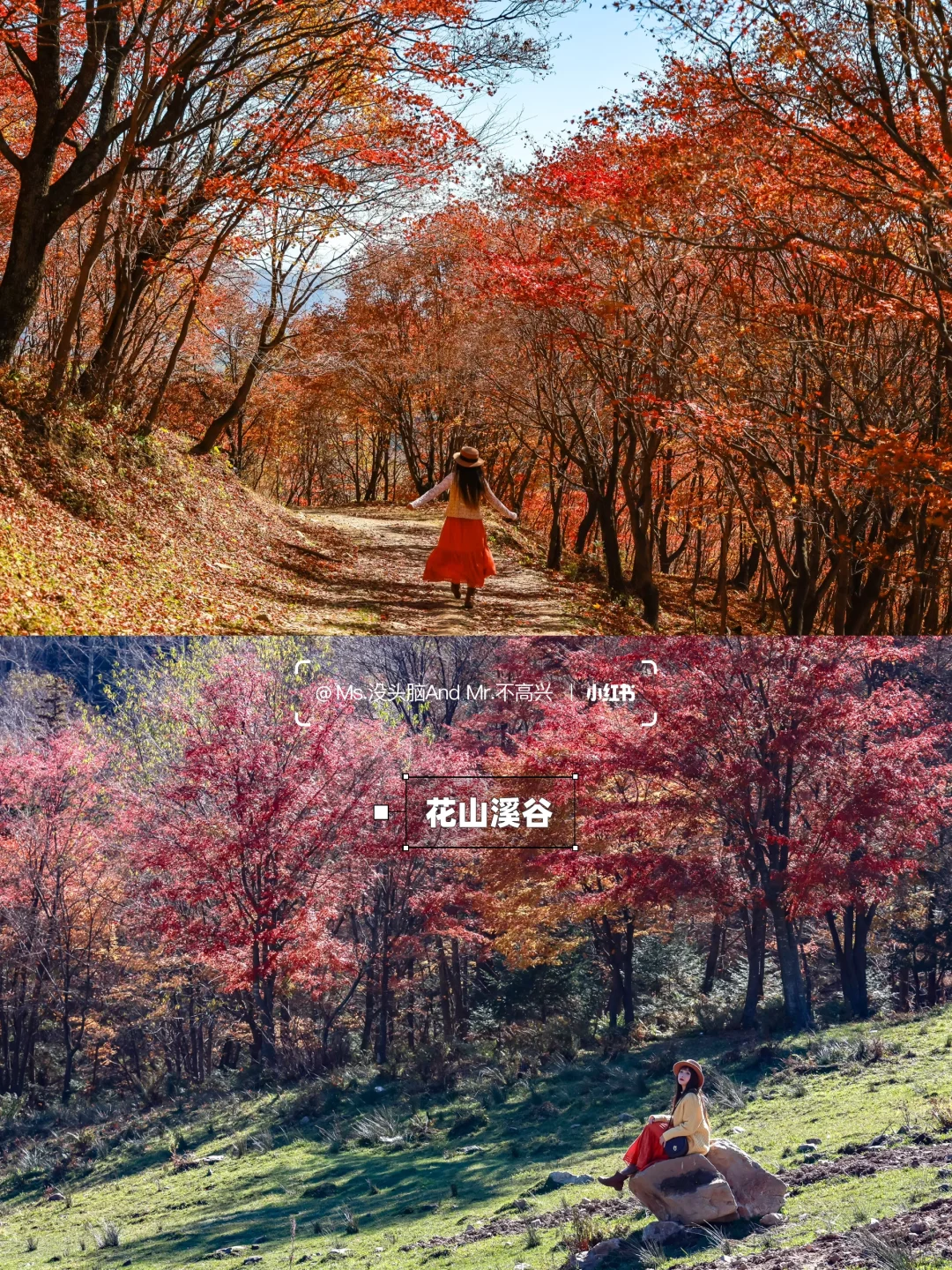 长春➩沈阳 | 国庆东北赏秋自驾路线推荐🚗