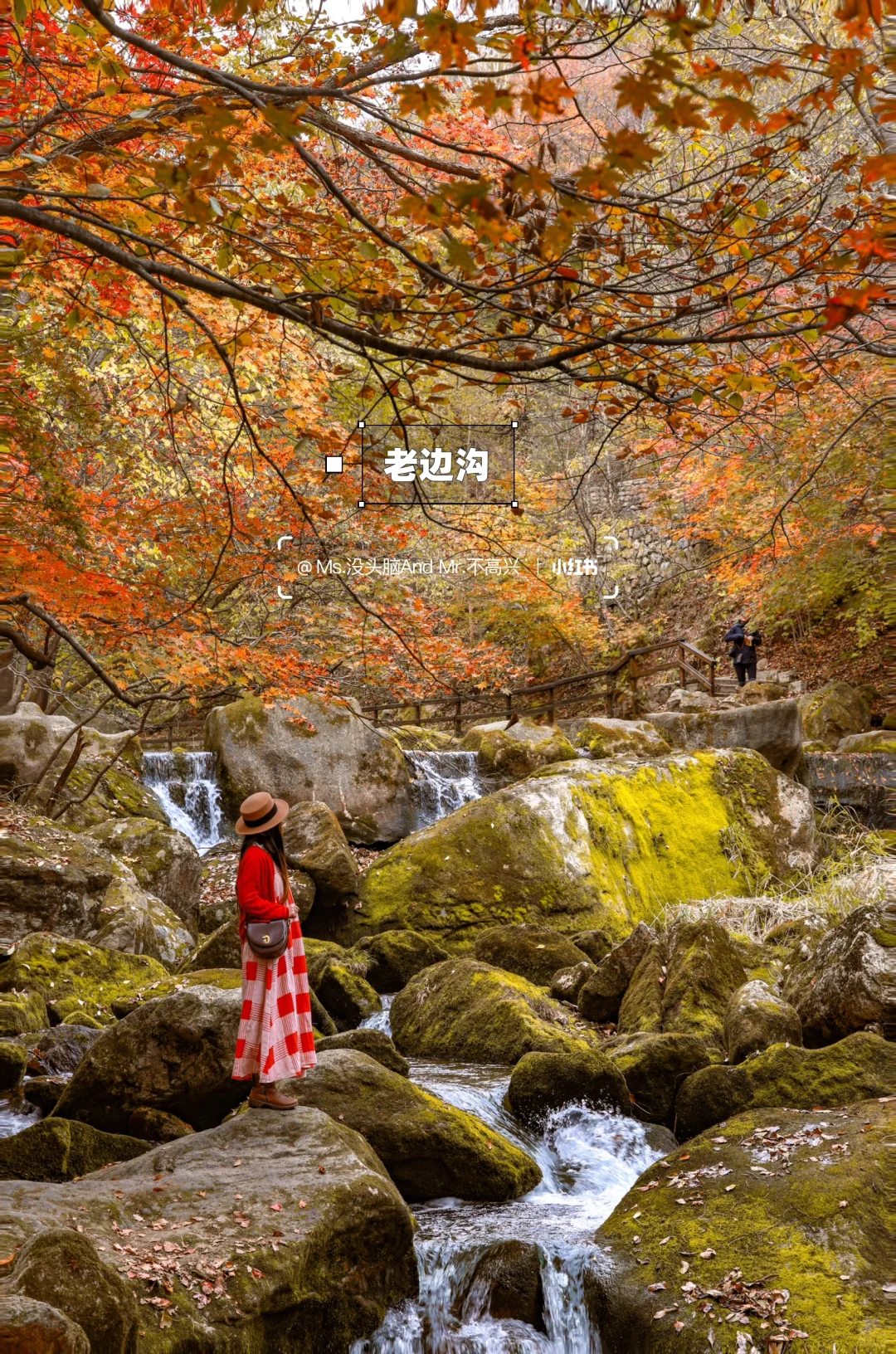 长春➩沈阳 | 国庆东北赏秋自驾路线推荐🚗