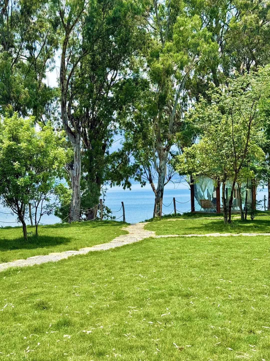 昆明最美的地方都是免费的（📍合集附地址）