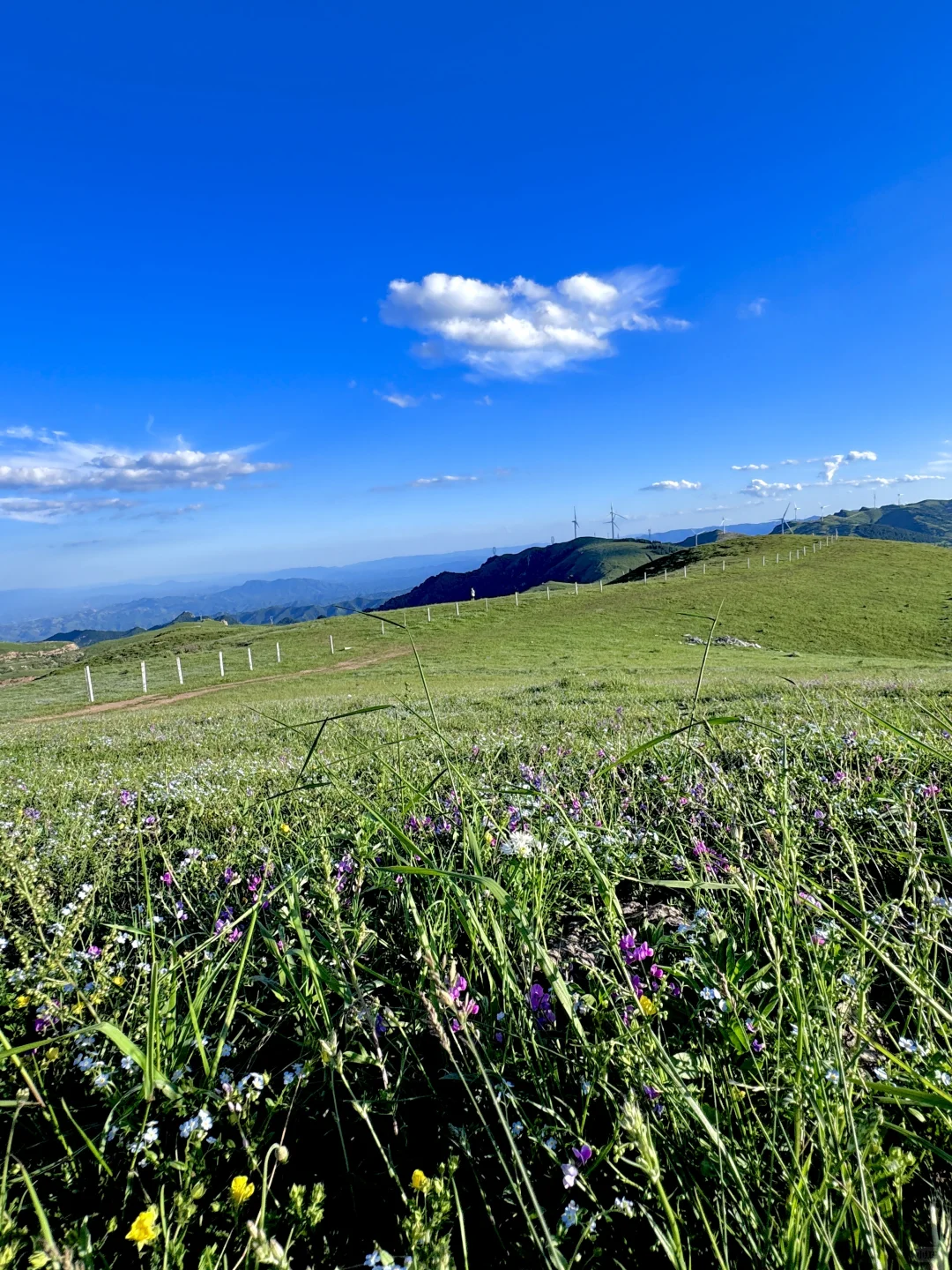 山西忻州一处绝美的小众地⛰️