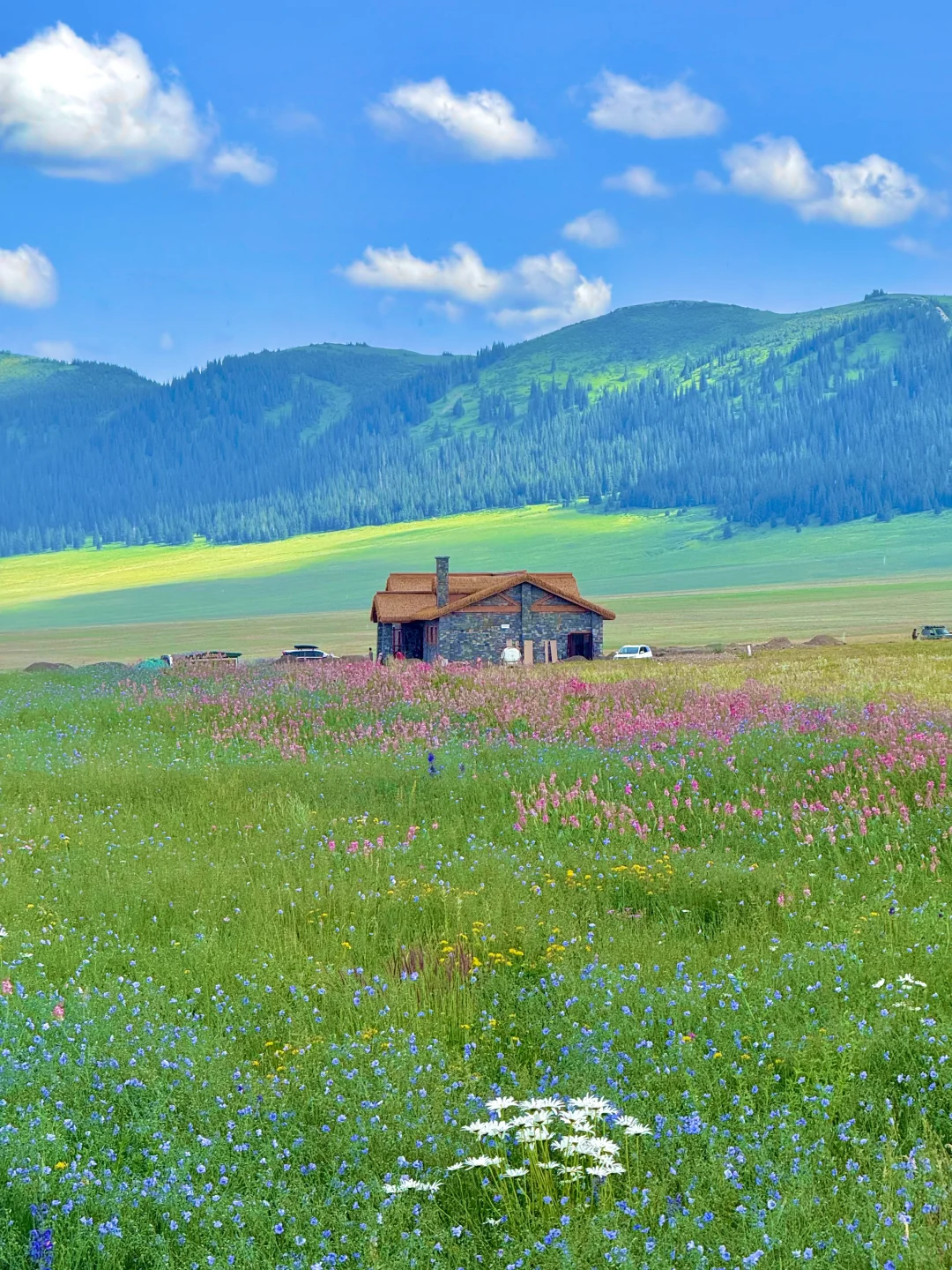 live｜新疆现实版旷野之息❗️