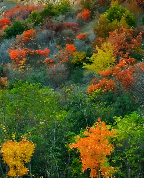 京津冀赏秋 | 2025年北京河北秋日徒步地图