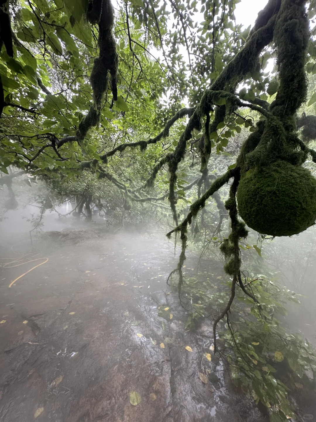 糟糕 周末到河北直接给我干电影特效里了？