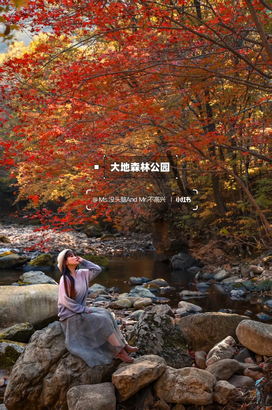 长春➩沈阳 | 国庆东北赏秋自驾路线推荐🚗