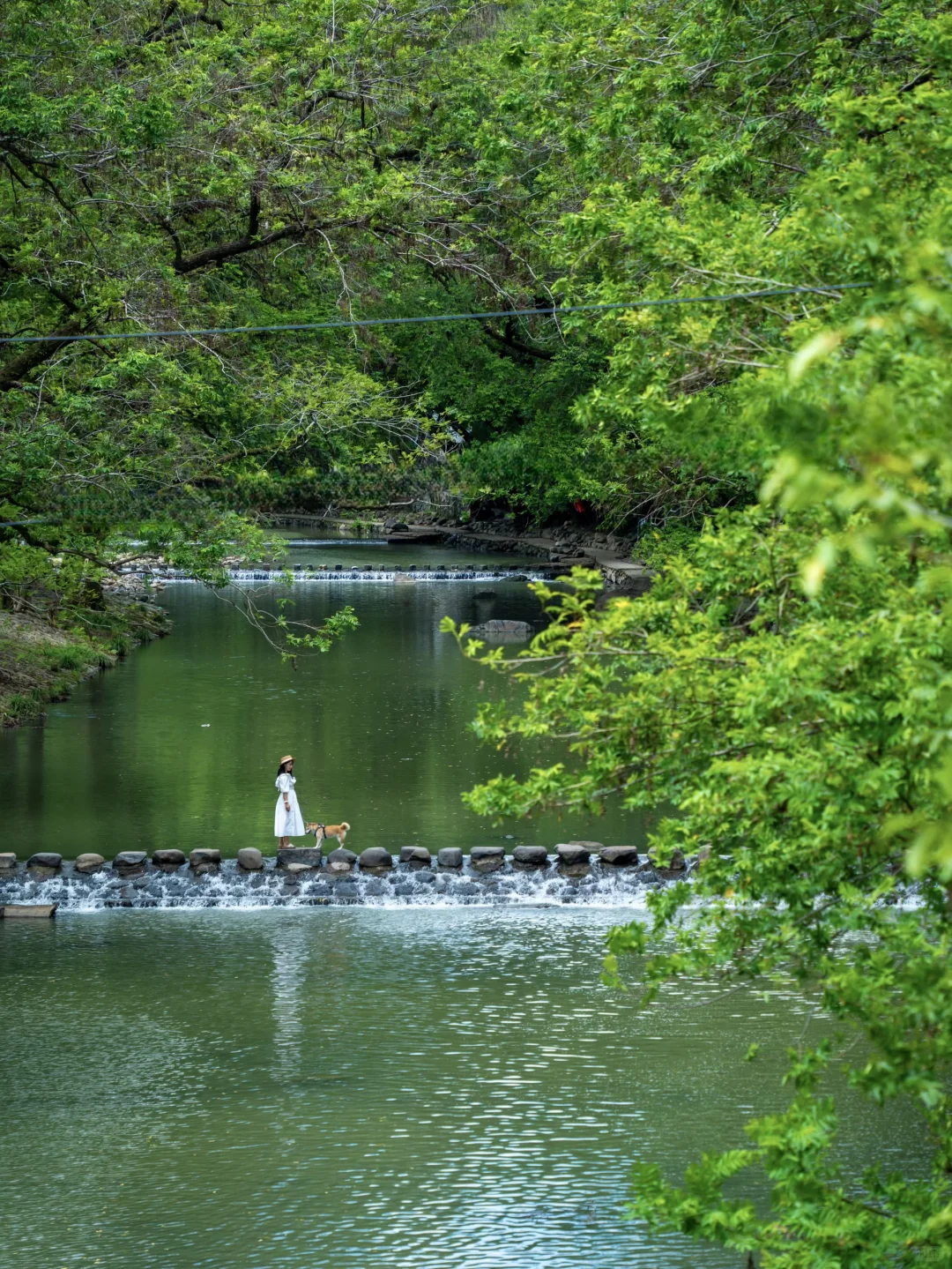 浙江，推荐一个冷门小众的小城4天3晚攻略