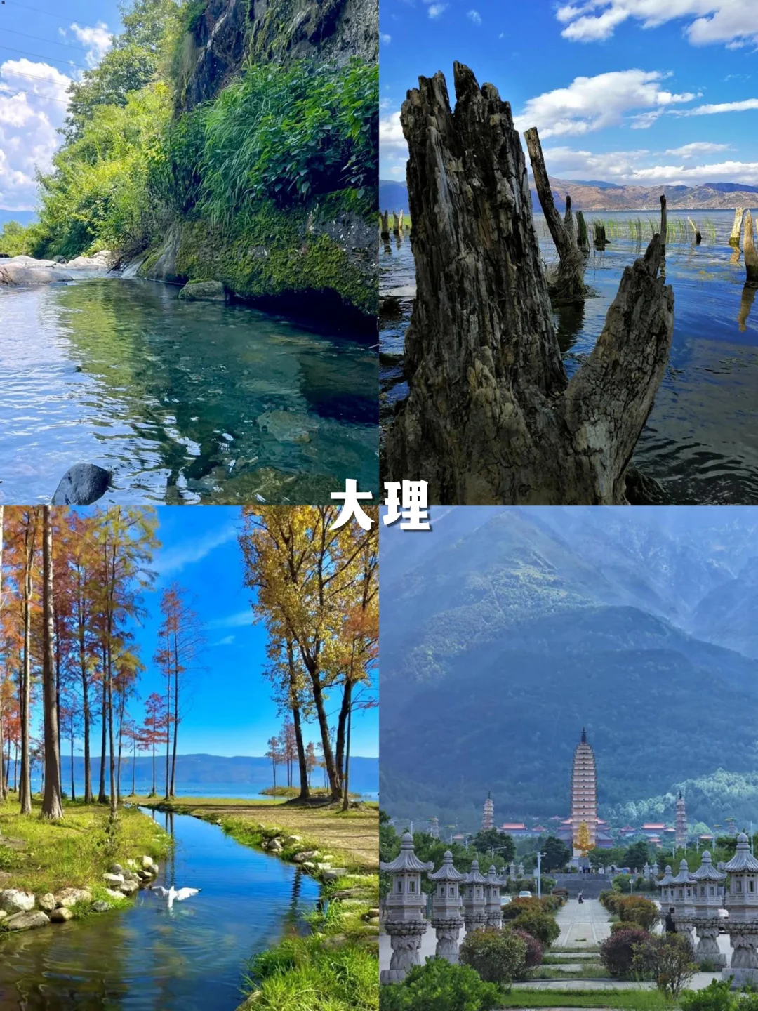 热疯了！国内十大避暑胜地，治愈你的夏天~