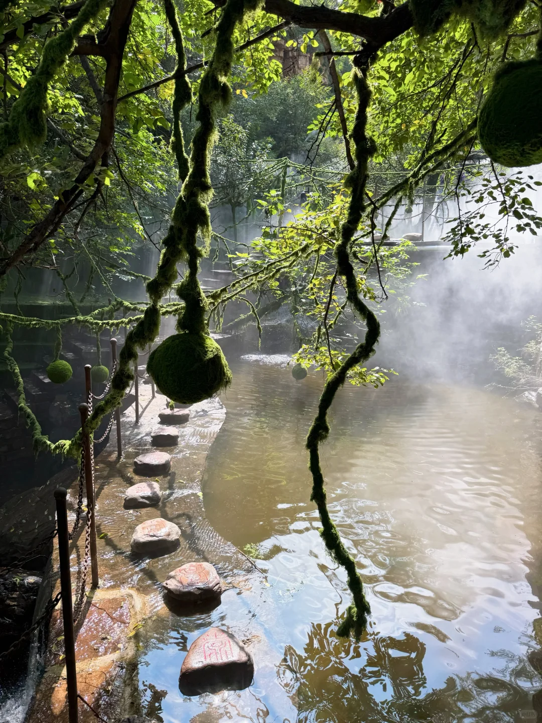邯郸人也有自己的绿野仙踪🧚🏻‍♀️
