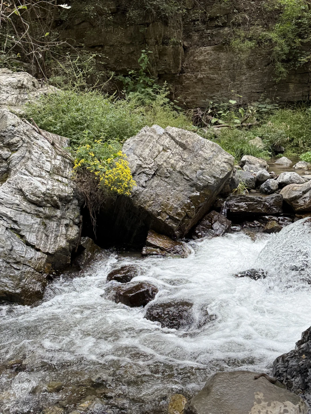 北京龙门涧一日轻徒步｜天然氧吧的疗愈力⛰️