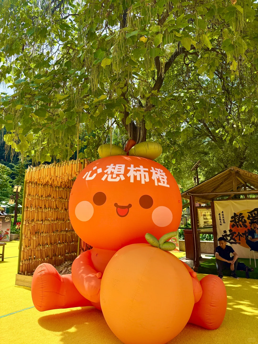 七步沟免门票啦！武安旅发必打卡秋日秘境✨