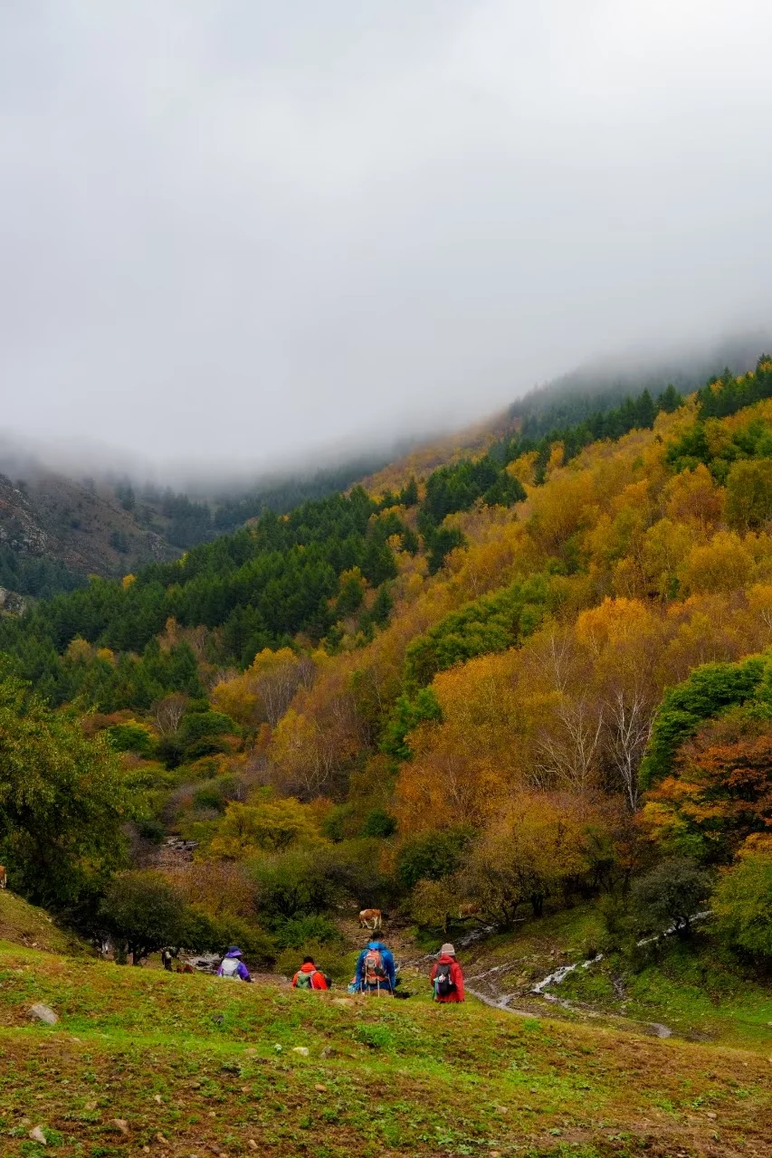 京津冀赏秋 | 2025年北京河北秋日徒步地图