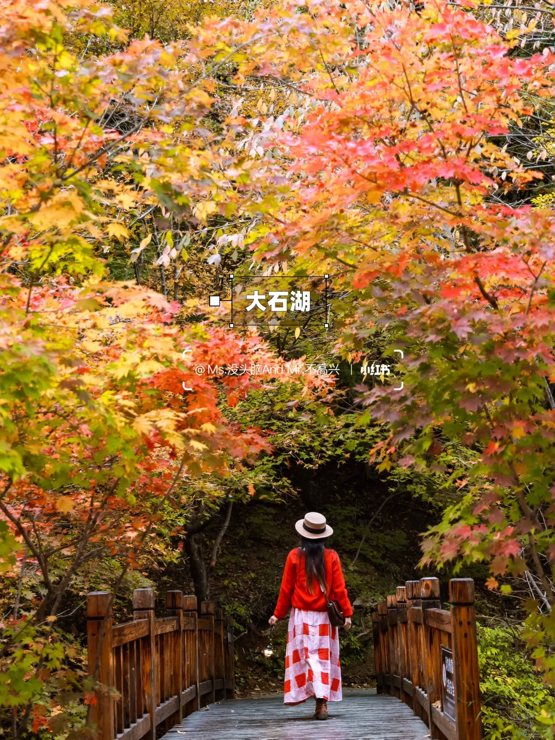 长春➩沈阳 | 国庆东北赏秋自驾路线推荐🚗