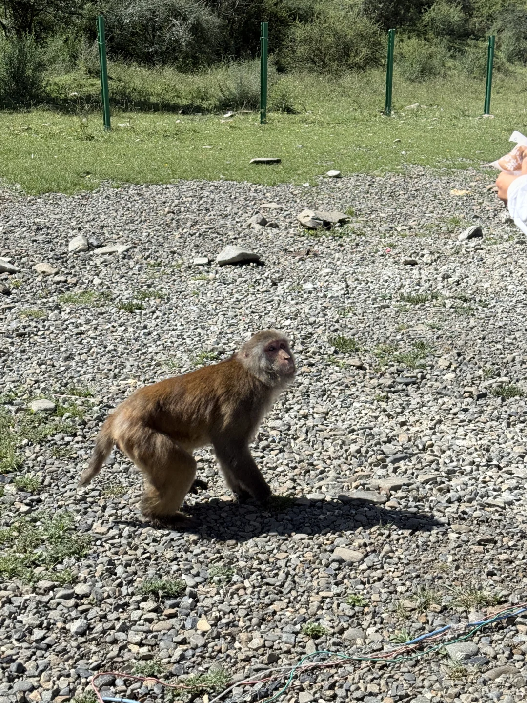 色达3天2晚！一个缺氧但不缺信仰（附攻略）