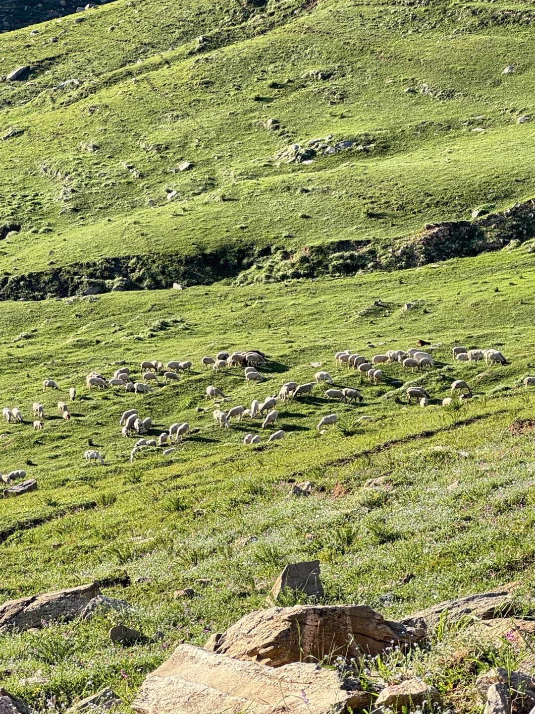 山西忻州一处绝美的小众地⛰️