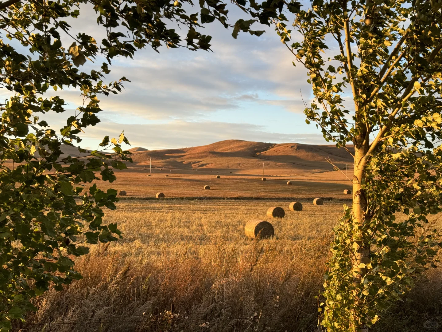 北京🚗阿尔山 全程FREE宝藏景点-上篇