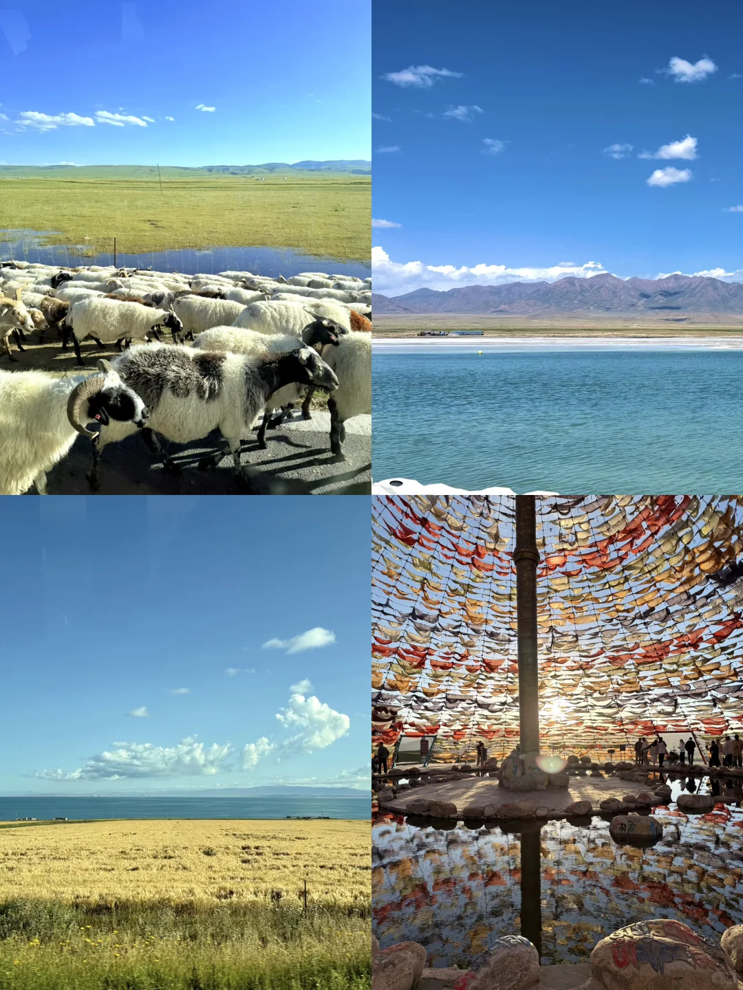 🌏我宣布九月是最适合去西宁的时间！