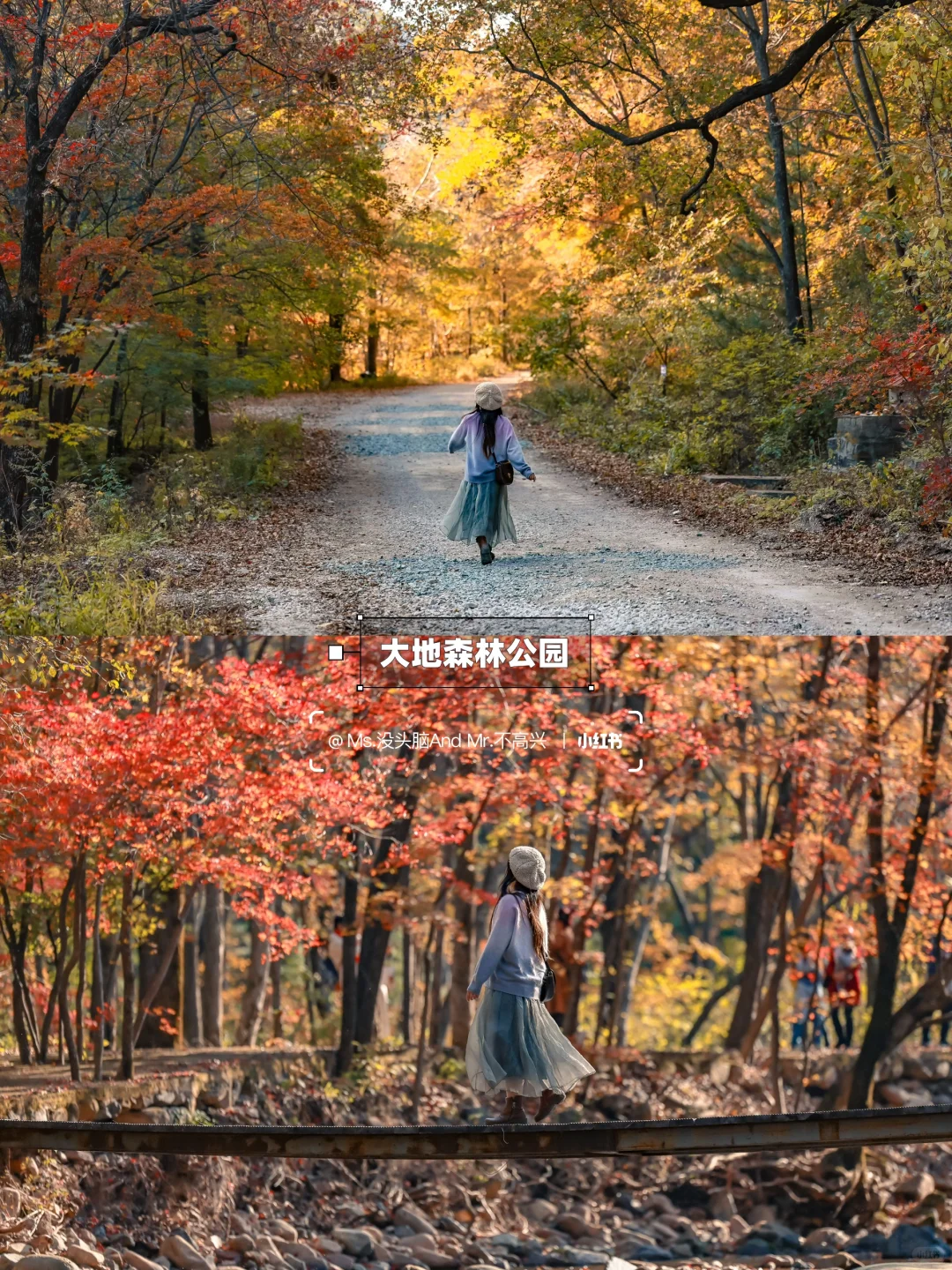 长春➩沈阳 | 国庆东北赏秋自驾路线推荐🚗