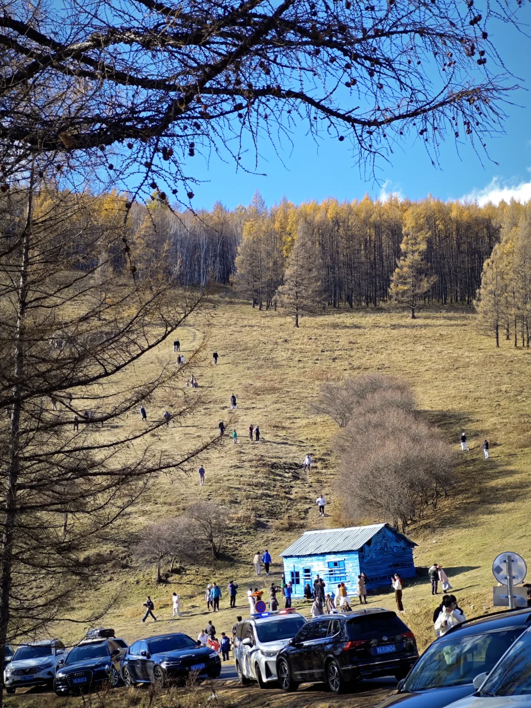北京🚗阿尔山 全程FREE宝藏景点-上篇