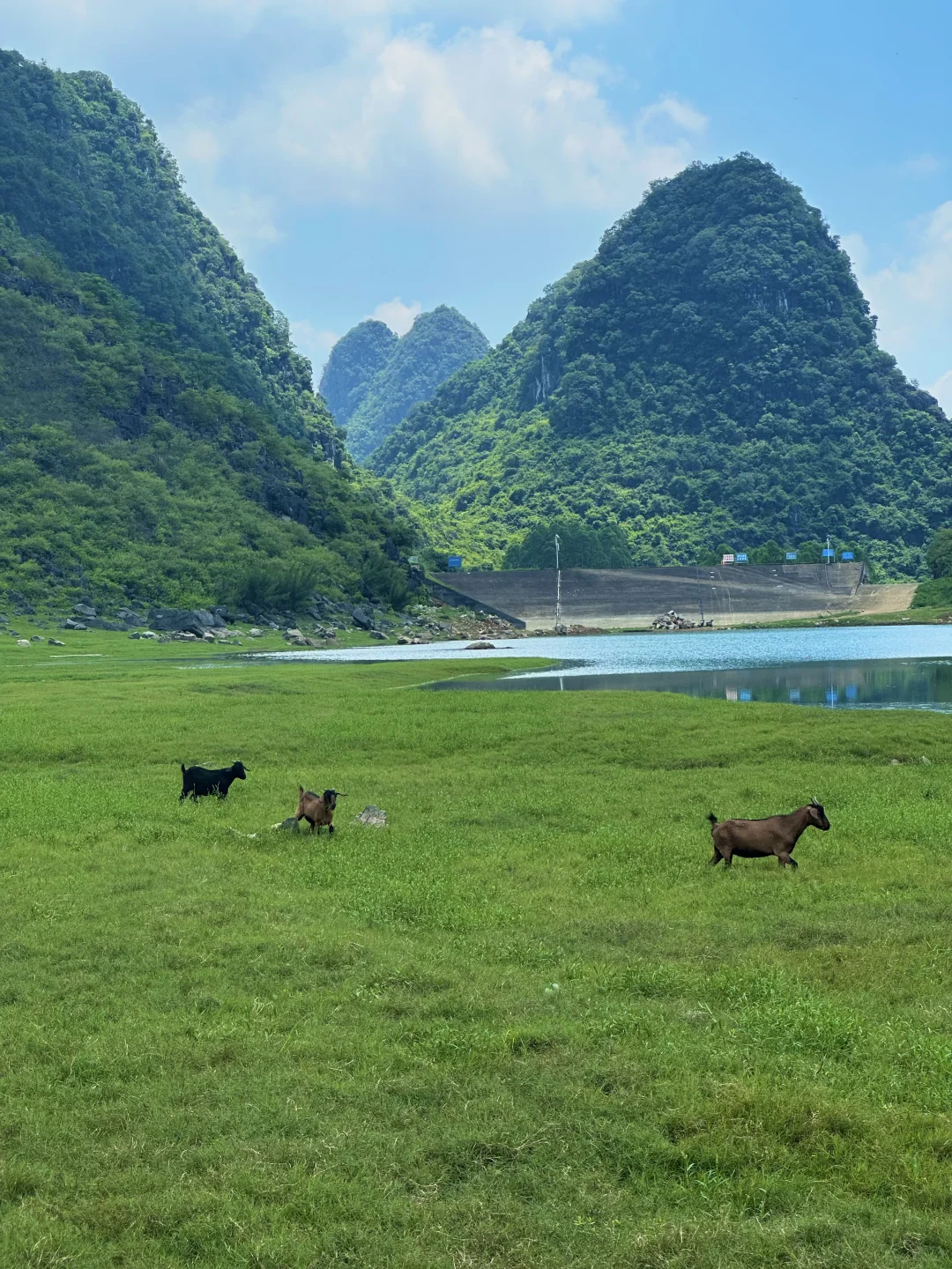 没去新疆，我在广西！柳州出发1h小众路线