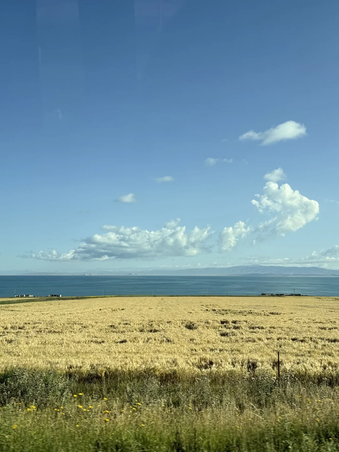 🌏我宣布九月是最适合去西宁的时间！