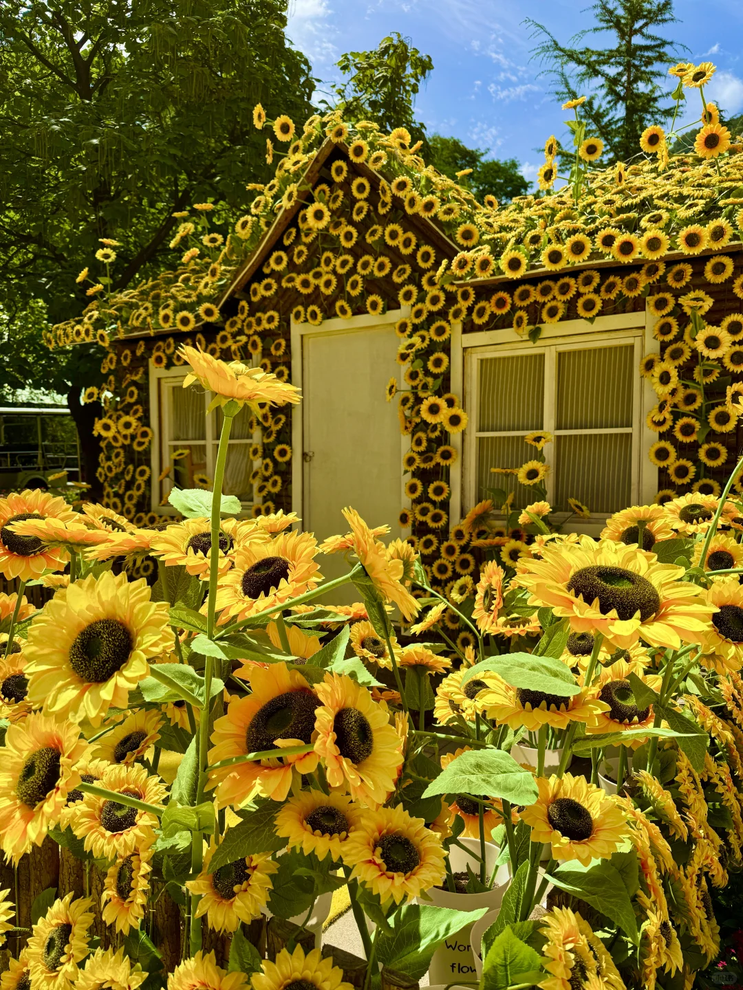 七步沟免门票啦！武安旅发必打卡秋日秘境✨