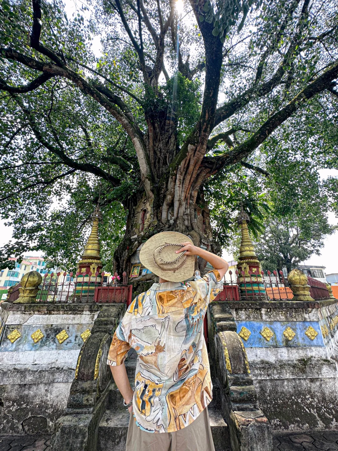 第一次来芒市，直接复制这条好吃好玩路线‼️