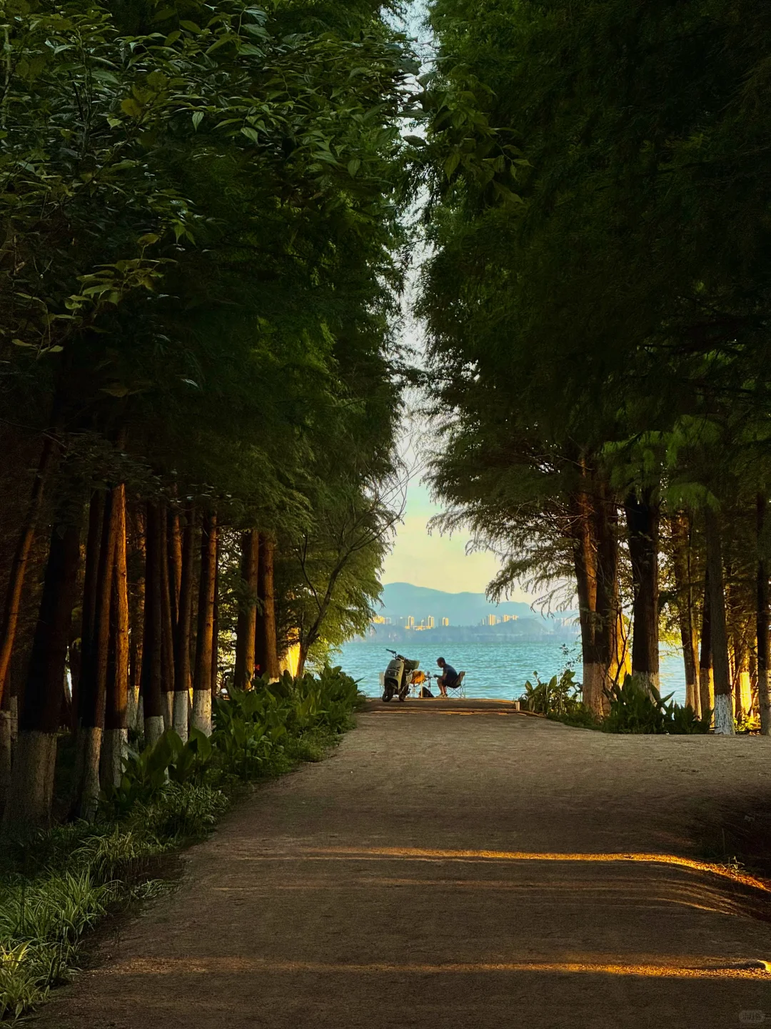 昆明最美的地方都是免费的（📍合集附地址）