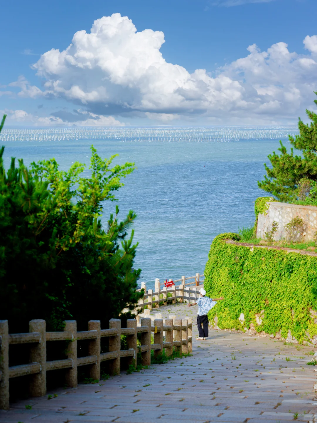 今年为止,去过最惊喜的海边小城出现了…