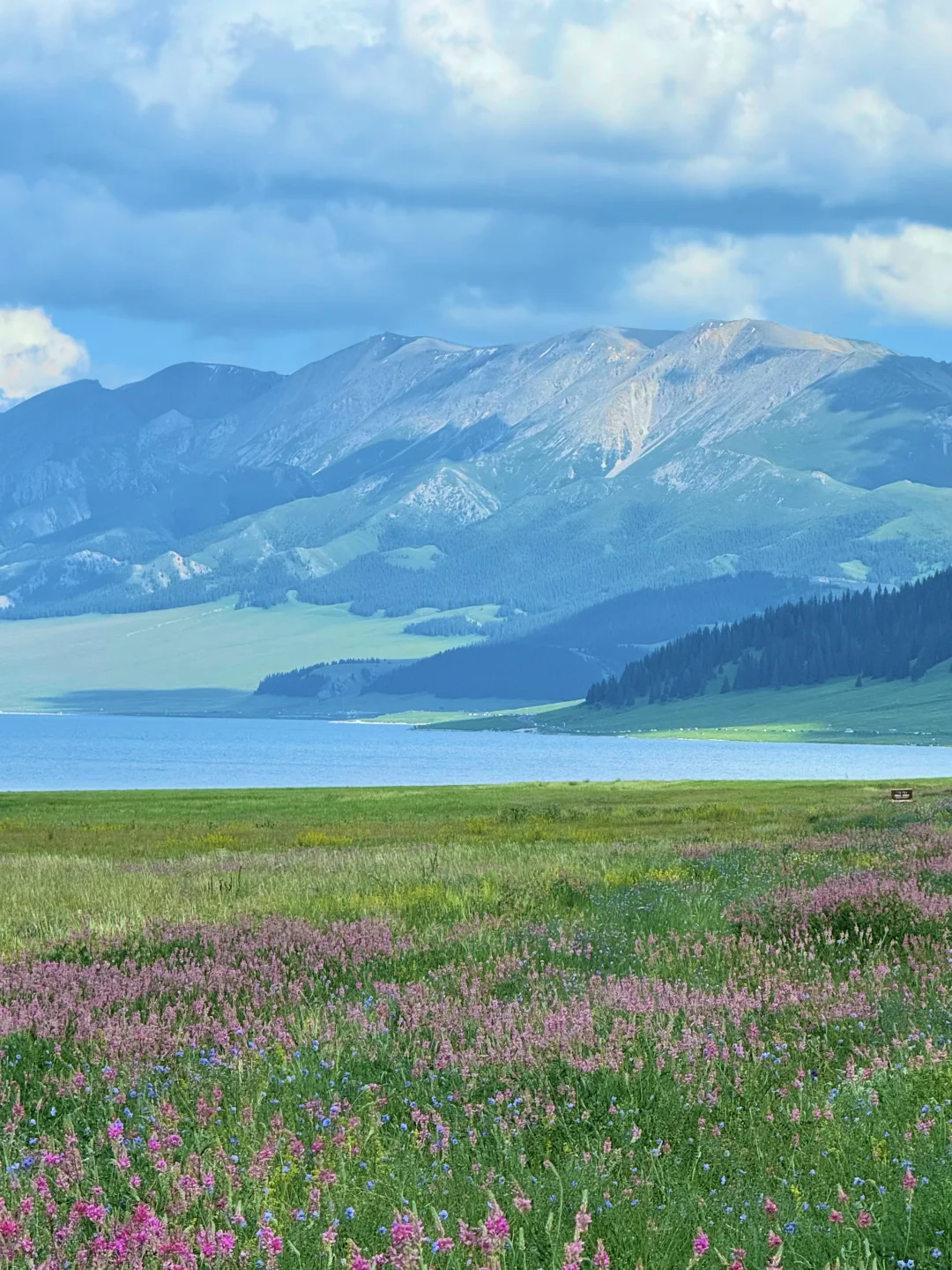 live｜新疆现实版旷野之息❗️